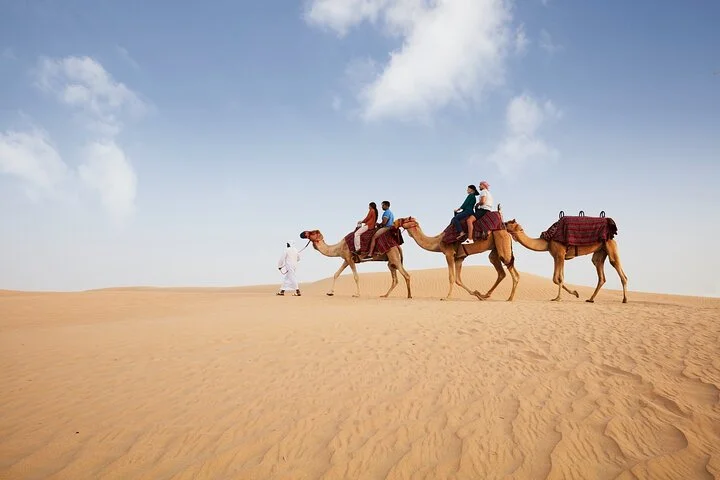 Dubai: Camel Caravan, Bedouin Breakfast with Al Marmoom Oasis