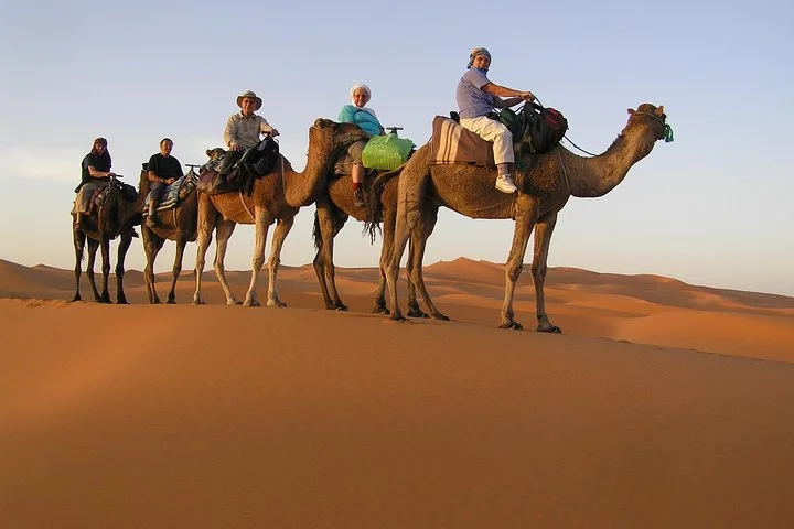Dubai Camel Caravan with BBQ Dinner Buffet
