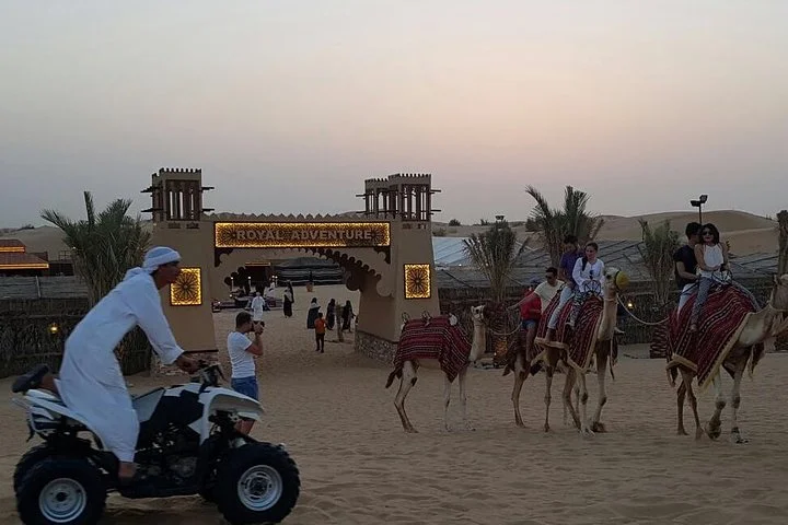 Dubai Camel Caravan with BBQ Dinner Buffet