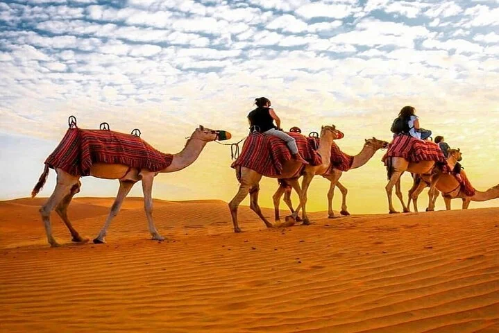 Dubai Camel Caravan with BBQ Dinner Buffet