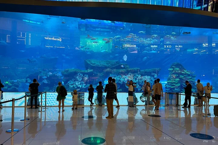 Dubai City Tour Private Souks Old Town Frame Modern Dubai