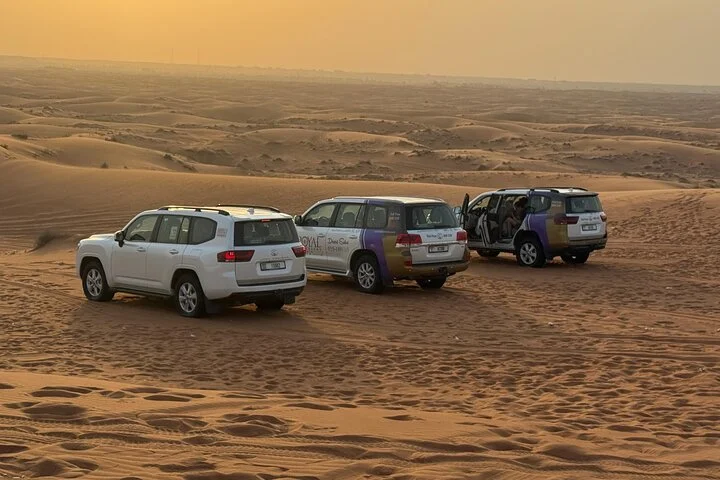 Dubai Desert Adventure Dune Safari Camel Ride BBQ & Stargazing