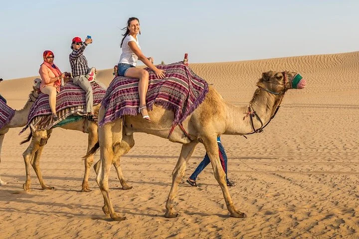 Dubai Desert Adventure Dune Safari Camel Ride BBQ & Stargazing