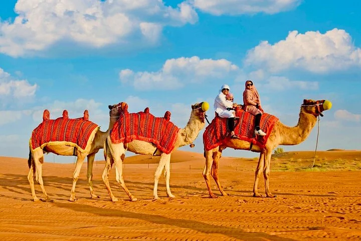 Dubai Desert Adventure Dune Safari Camel Ride BBQ & Stargazing