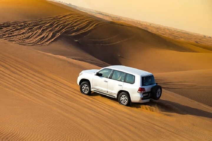 Dubai Desert Adventure Dune Safari Camel Ride BBQ & Stargazing