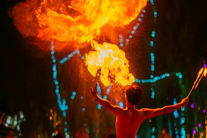 Dubai Desert Escape: Red Dunes Safari, Falcon, Camel & BBQ Dinner