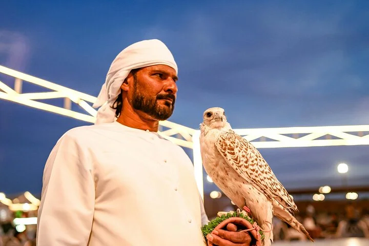 Dubai Desert Escape: Red Dunes Safari, Falcon, Camel & BBQ Dinner