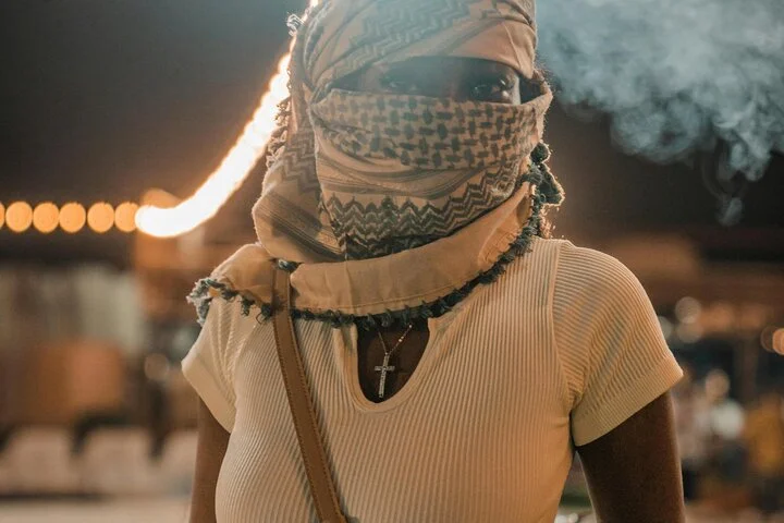 Dubai Desert Escape: Red Dunes Safari, Falcon, Camel & BBQ Dinner