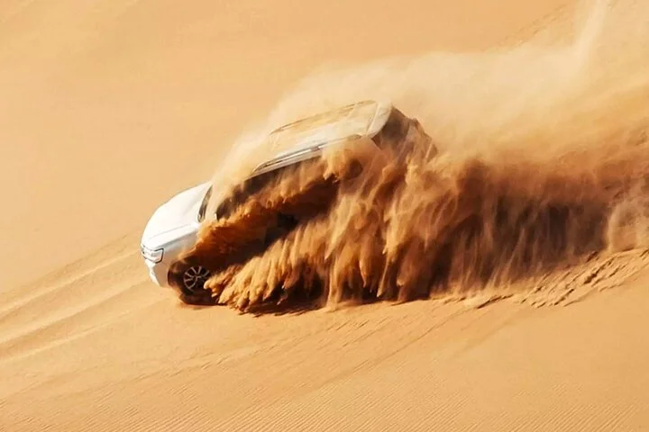 Dubai Desert Escape: Red Dunes Safari, Falcon, Camel & BBQ Dinner