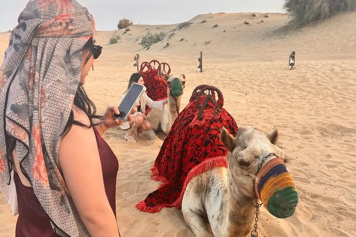 Dubai Desert Safari Adventure