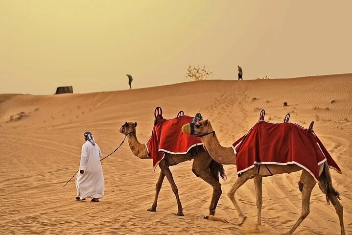 Dubai Desert Safari Adventure