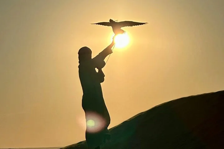 Dubai Desert Safari Adventure, Camel Ride, Sand surf, BBQ Dinner