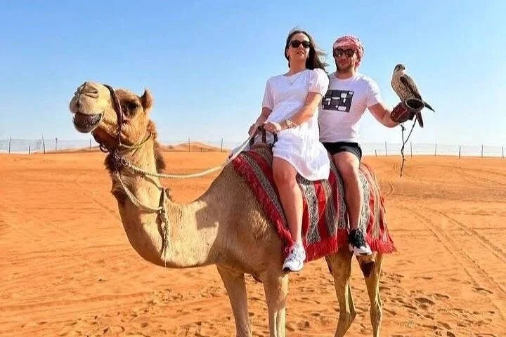 Dubai Desert Safari by By Private Jeep