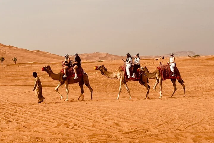 Dubai Desert Safari Camel falcon Sandbording Premium BBQ Dinner