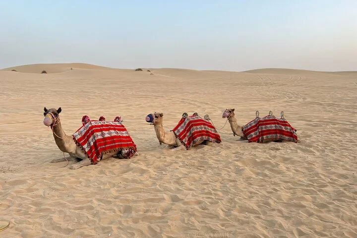 Dubai Desert Safari, Camel Ride, Shisha, Henna, Live BBQ & Shows