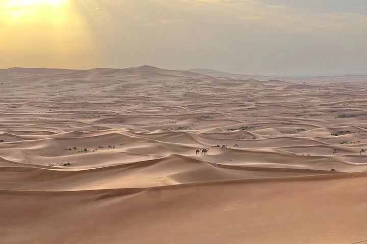 Dubai Desert Safari, Camel Ride, Shisha, Henna, Live BBQ & Shows