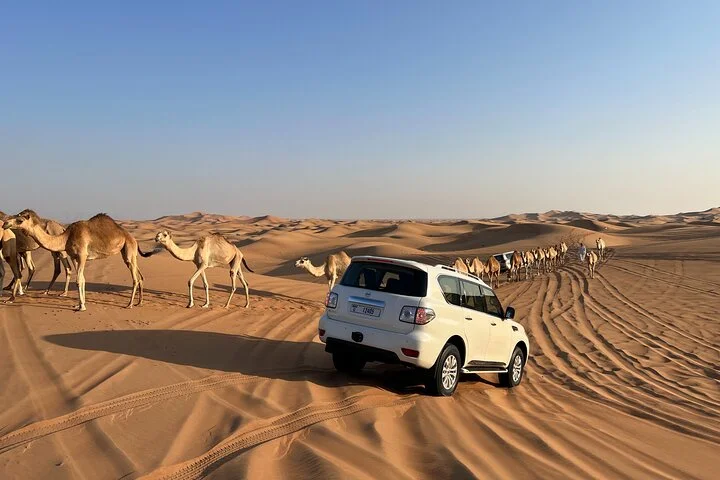 Dubai Desert Safari, Camel Ride, Shisha, Henna, Live BBQ & Shows