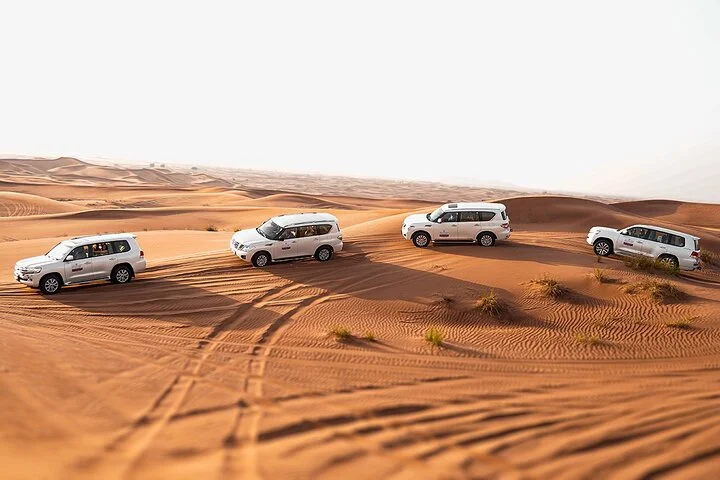 Dubai: Desert Safari, Camel Ride, Show & Optional Dinner