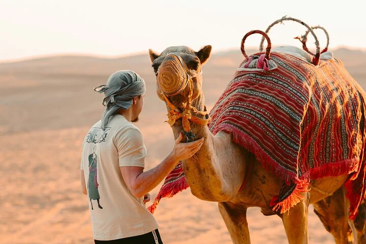 Dubai Desert Safari on Red Dunes – BBQ Dinner, Live Entertainment