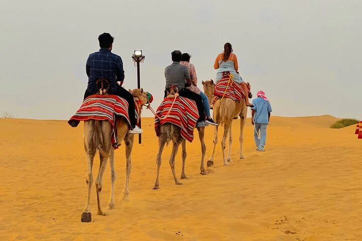 Dubai desert safari with 4x4 Dune Bashing,Camel Ride sand board