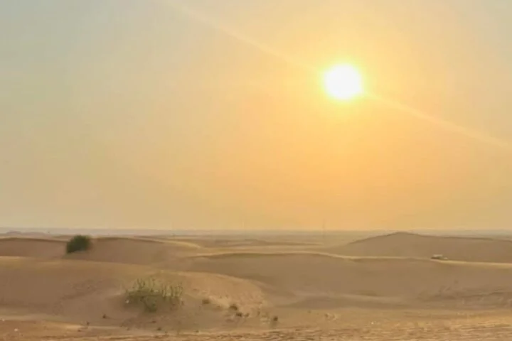 Dubai Desert Safari with BBQ, Camel Ride and Live Shows