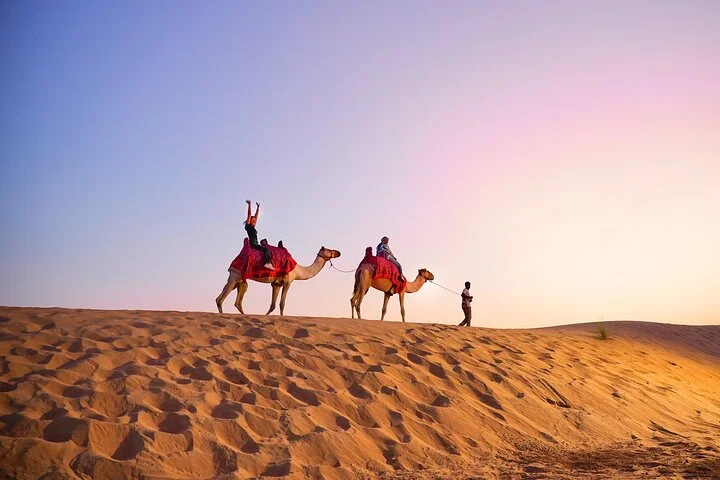 Dubai Desert Safari with BBQ, Camel Ride, Sand Board, Live Shows