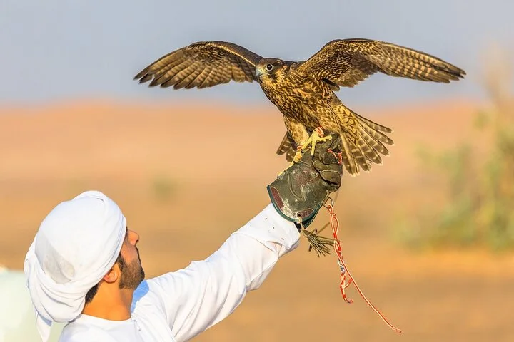 Dubai Desert Safari with BBQ Dinner in red sand