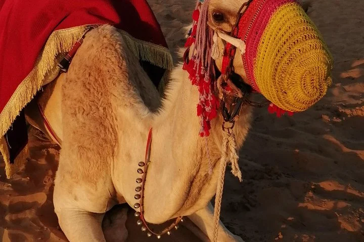 Dubai Desert Safari with Buffet Dinner Evening