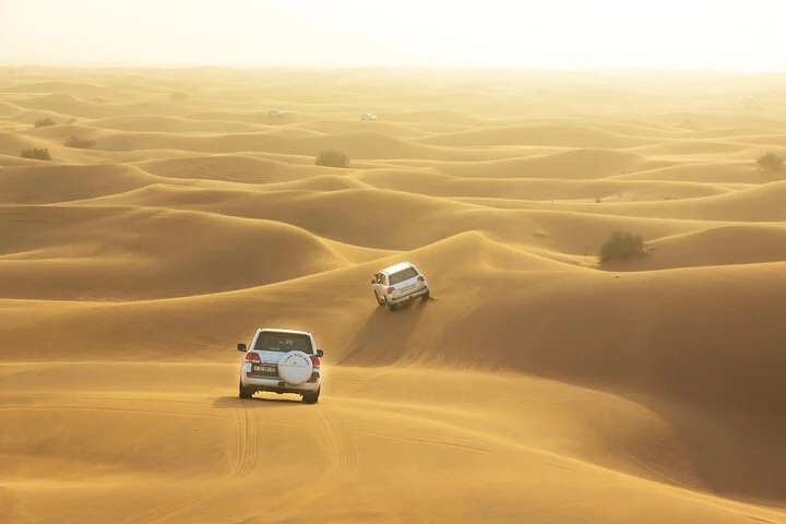 Dubai Desert Safari with Camel Ride, Dinner & Live Entertainment