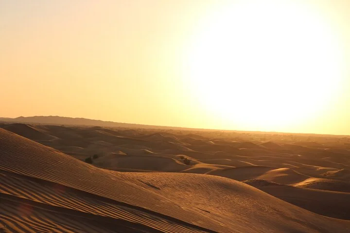 Dubai Desert Safari with Dinner, Dune Bashing and Camel Riding