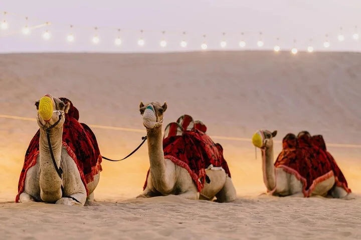 Dubai Desert Safari with Dune Bashing, Camel Ride and BBQ Dinner