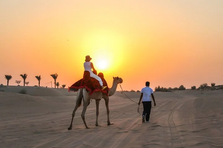 Dubai Desert Safari with Dune Bashing, Camel Ride and BBQ Dinner