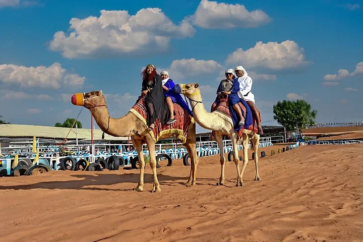 Dubai Desert Safari with Dune Bashing & Live Shows