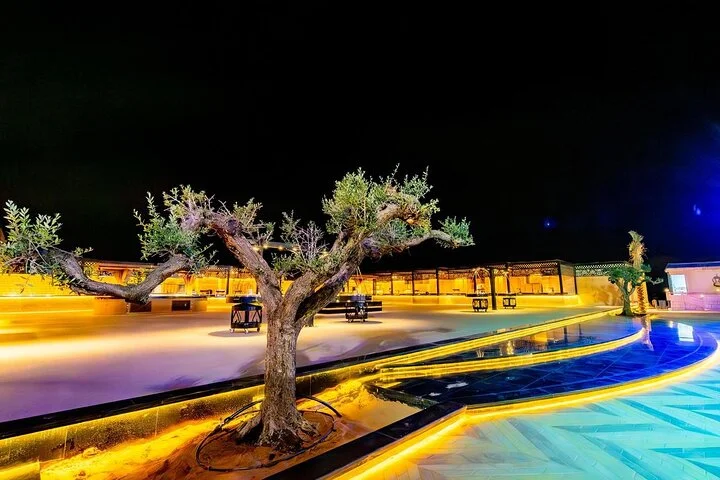 Dubai Desert Safari:BBQ Dinner, Dune Bashing & Live Entertainment