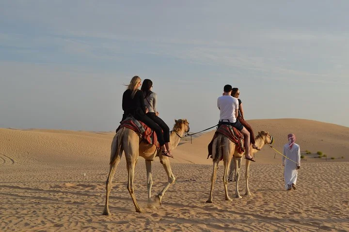 Dubai Dune Buggy Desert Drive With Camel ride & sandboarding