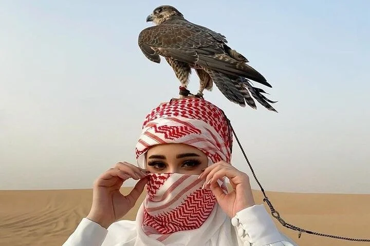 Dubai Evening Desert Adventure – 30-Min Buggy, BBQ & Live 5 Shows