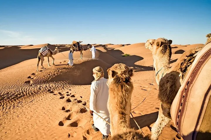 Dubai Evening Desert Safari Dune Bashing, BBQ Dinner & Live Shows