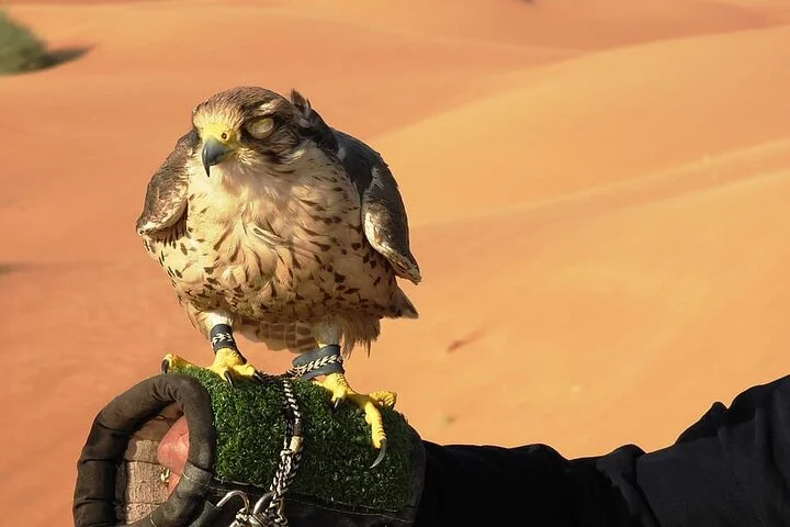 Dubai Evening Desert Safari - Private