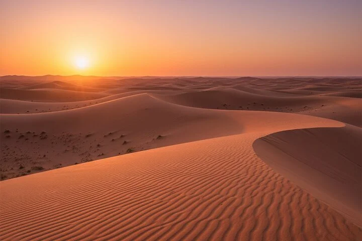 Dubai Evening Desert Safari with Dune Bashing BBQ Dinner and Show