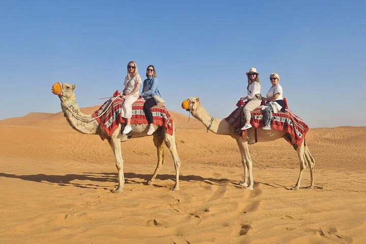 Dubai Evening Red Dunes Desert Safari: Quad Bike, BBQ & 5 shows