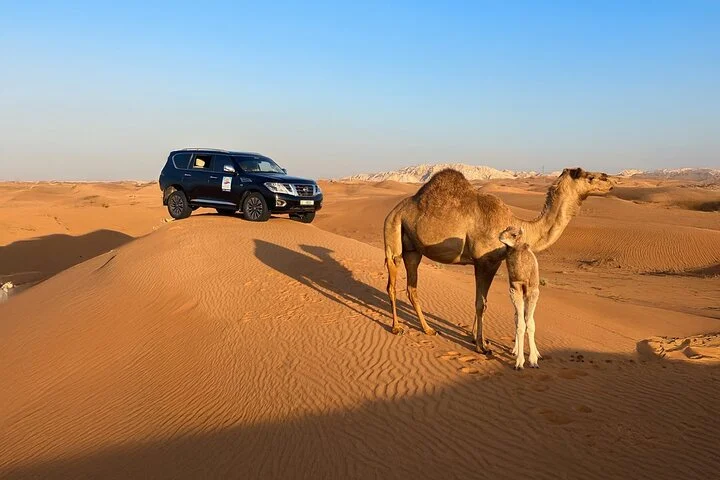 Dubai Evening Red Dunes Desert Safari: Quad Bike, BBQ & 5 shows