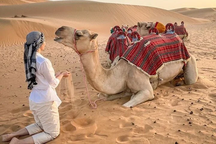 Dubai Evening Safari Explorers, Quad Bike, BBQ Dinner & Live Show