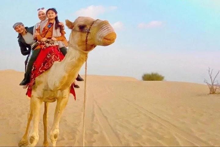 Dubai Experience: Quad bike, BBQ Dinner and Live Show