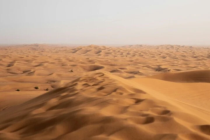 Dubai Full Day Private Chauffeur Service