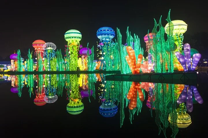 Dubai Garden Glow