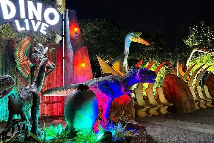 Dubai Garden Glow Tickets with Transport Options