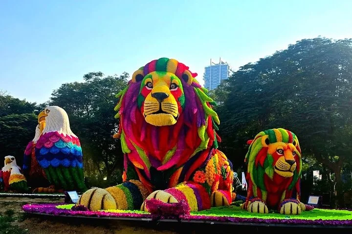 Dubai Garden Glow Tickets with Transport Options