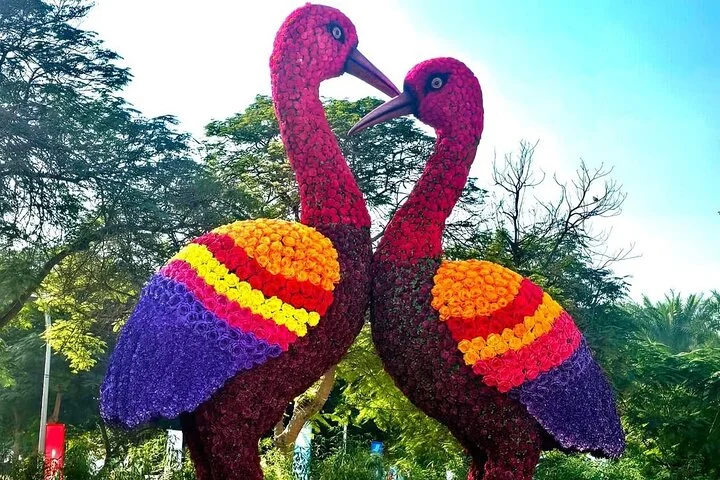 Dubai Garden Glow Tickets with Transport Options