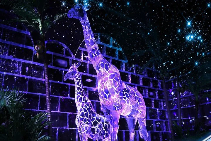 Dubai Glow Garden + Dino Park and Magic Park Admission Ticket