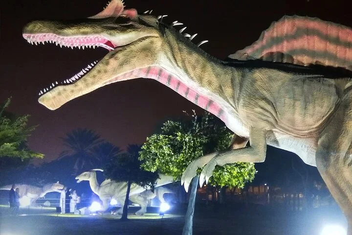 Dubai Glow Garden + Dino Park and Magic Park Admission Ticket